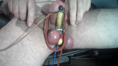 nudepenguin live cam on Cam4