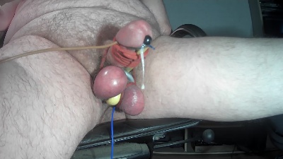 nudepenguin live cam on Cam4