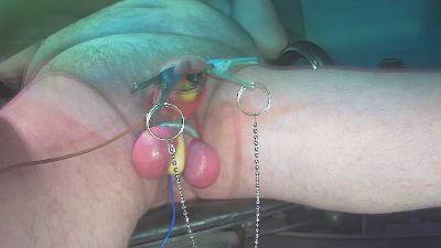 nudepenguin live cam on Cam4