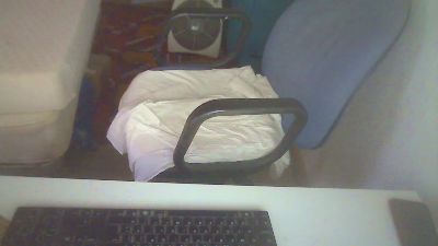 nzksydiver live cam on Cam4