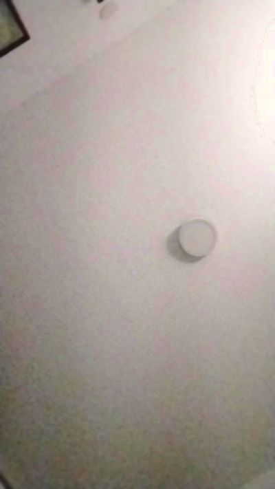 oddyliaa live cam on Cam4