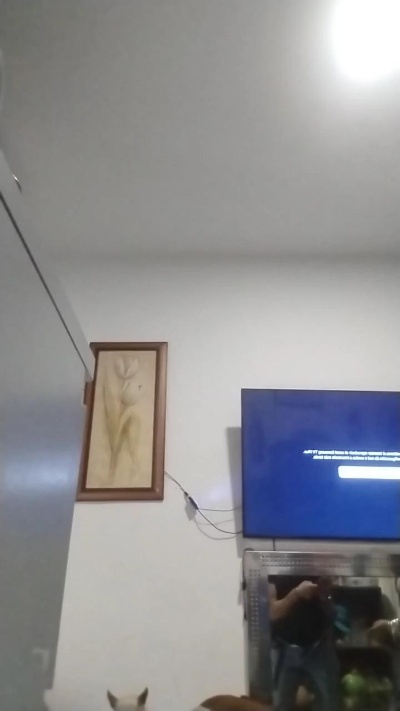 oddyliaa live cam on Cam4