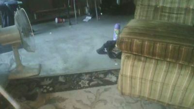 oneinchlol live cam on Cam4