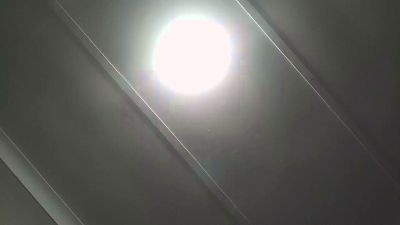 orgazimany live cam on Cam4
