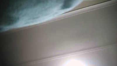 orgazimany live cam on Cam4