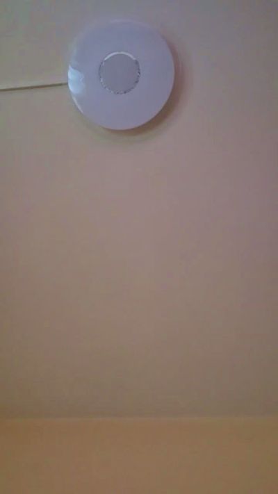 oscarito16 live cam on Cam4