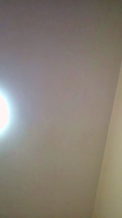 oscarito16 live cam on Cam4