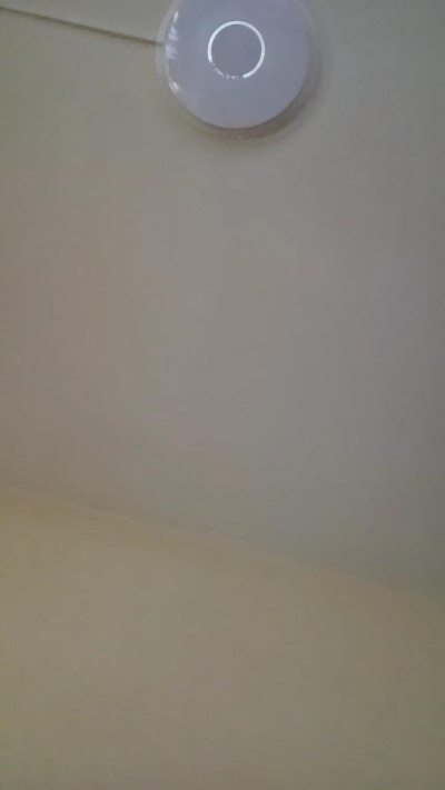 oscarito16 live cam on Cam4