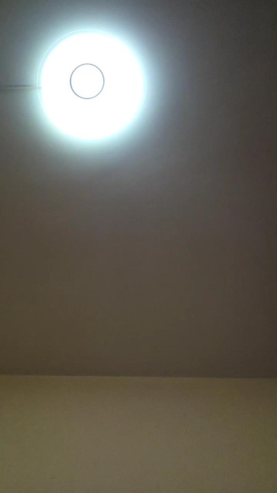 oscarito16 live cam on Cam4