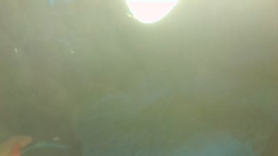 overmydaddbody live cam on Cam4