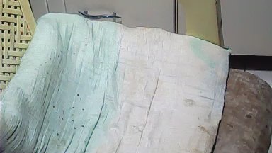 pacharrumba live cam on Cam4