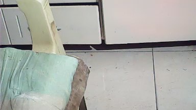 pacharrumba live cam on Cam4