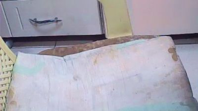 pacharrumba live cam on Cam4