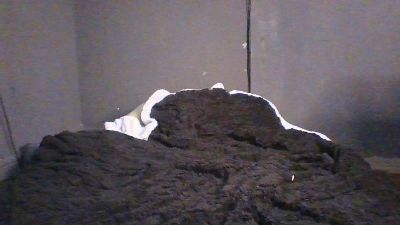 painandfantasy live cam on Cam4