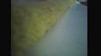 pajerito68 live cam on Cam4