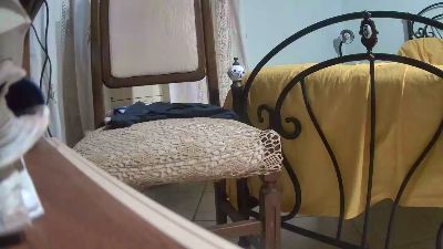palindromo82hot live cam on Cam4