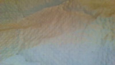 pallmee live cam on Cam4