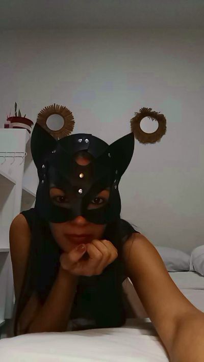 Preview of palomaa3