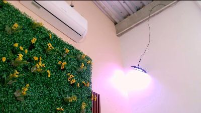 paola20atletic live cam on Cam4