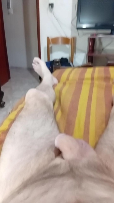paolo790 live cam on Cam4