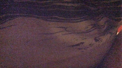 pars_ live cam on Cam4