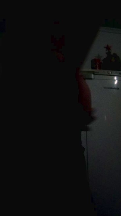 passcalcinharj live cam on Cam4