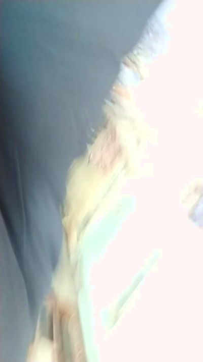 pathpeter live cam on Cam4