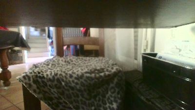 patoche5969 live cam on Cam4