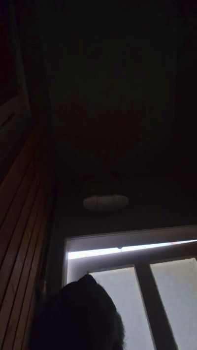 pauline2 live cam on Cam4