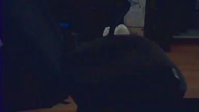 paulo007mix live cam on Cam4
