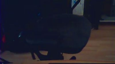paulo007mix live cam on Cam4