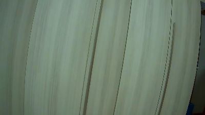 pazzo72 live cam on Cam4