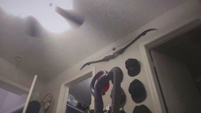 pbmotorsfun3 live cam on Cam4