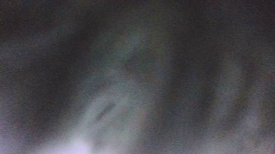 peligrosa33 live cam on Cam4