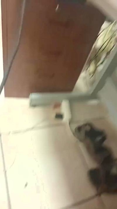penegordocam live cam on Cam4