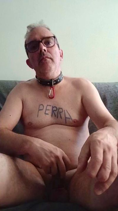 perrasum3 live cam on Cam4