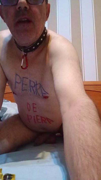 perrasum3 live cam on Cam4