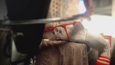 philmalesleTams live cam on Cam4