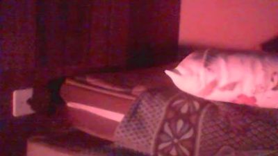 pholt live cam on Cam4