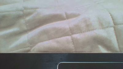 picelmot live cam on Cam4