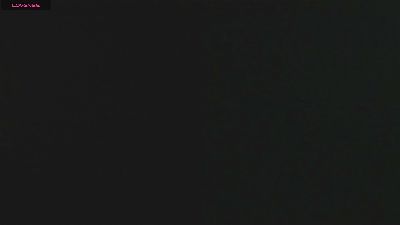 pickman_kate live cam on Cam4