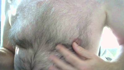 pieterf live cam on Cam4