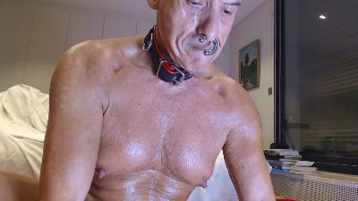 pigjebX live cam on Cam4