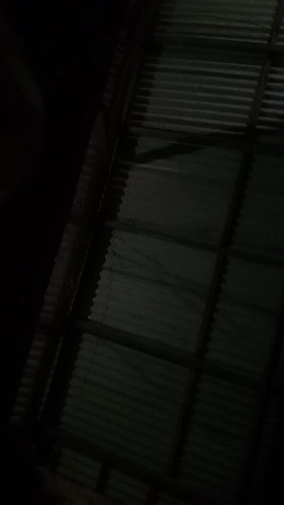 pimentinha54