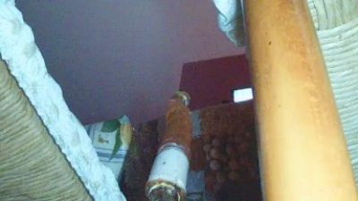 pio81295 live cam on Cam4