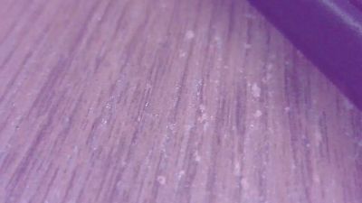 pirocamtogrossa Live Cam on Cam4