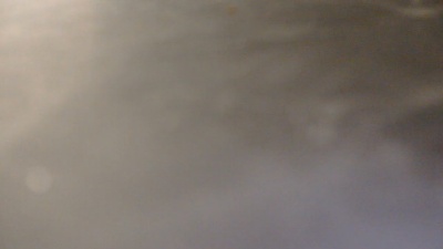 pisseloe01 live cam on Cam4