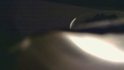 pisseloe01 live cam on Cam4