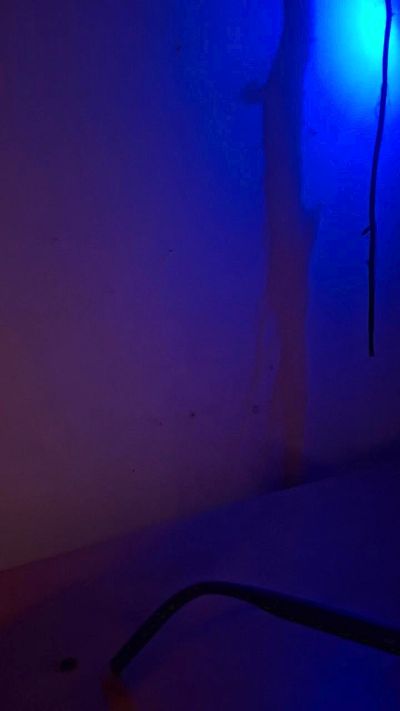 pissriot live cam on Cam4