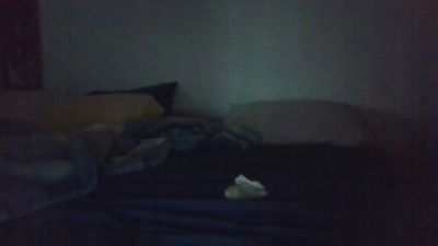 pjbarnett2389i3 live cam on Cam4